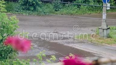 飓风过后，水流流过城市的街道. 汽车直接在水上行驶。